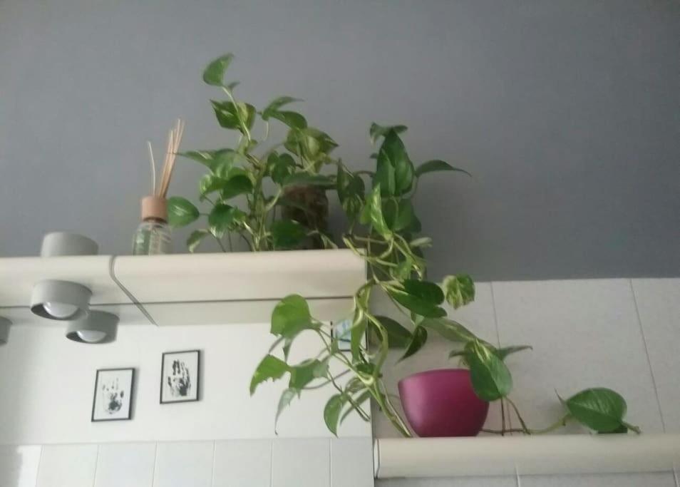 Mascagni Rooms Floransa Dış mekan fotoğraf